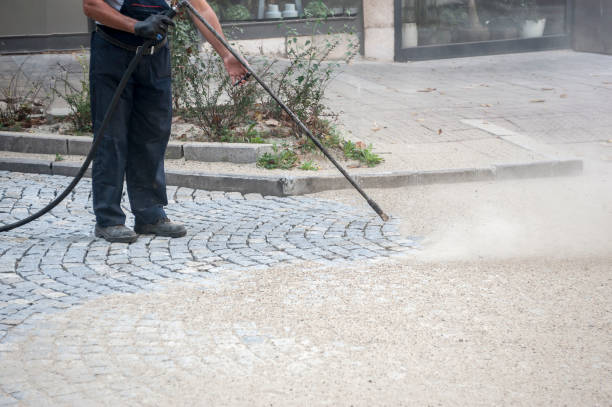Best Animal Enclosure Cleaning  in Luray, VA