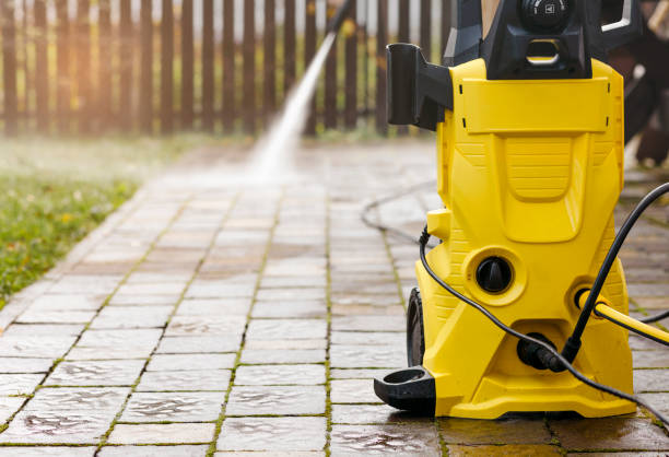 Best Spring Cleaning  in Luray, VA